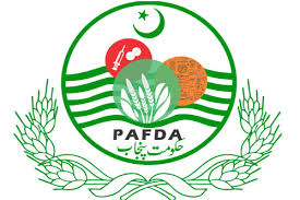 Punjab Agriculture Jobs Latest PAFDA Jobs